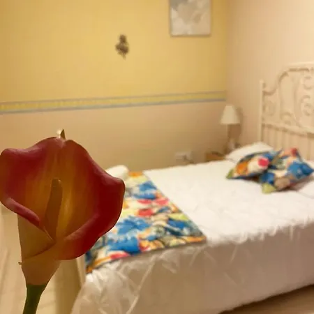 Palast Stieg Homestay Jerez de la Frontera